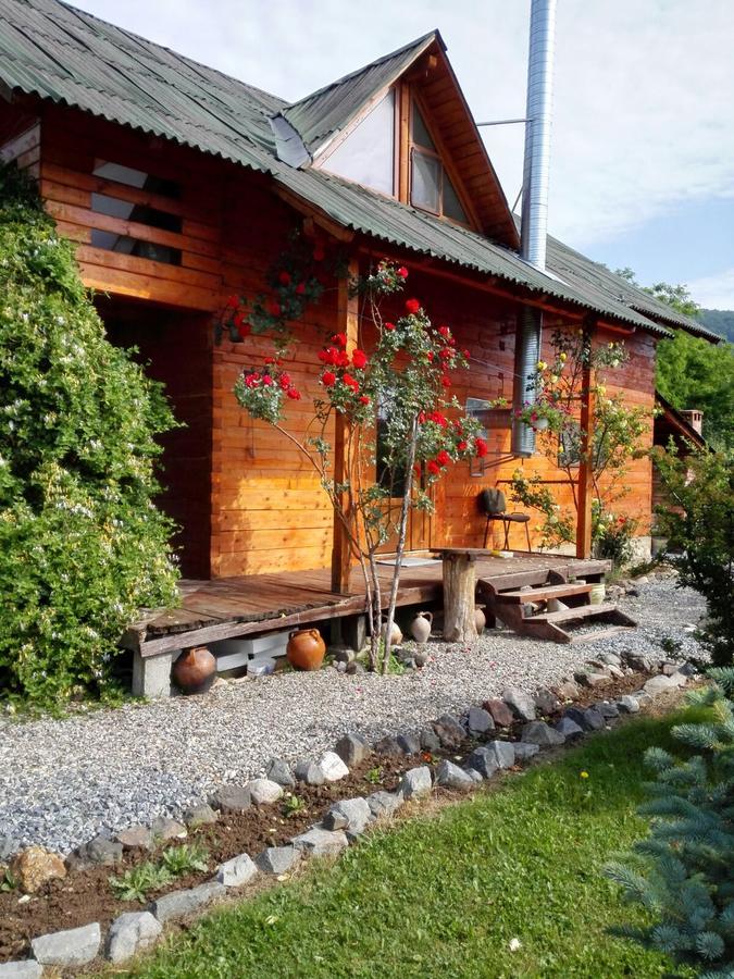 The Wooden House Villa Moldoveneşti Exteriör bild